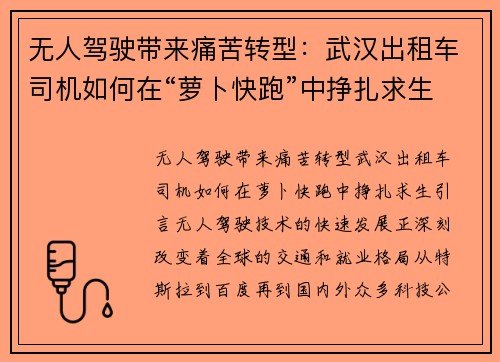 无人驾驶带来痛苦转型：武汉出租车司机如何在“萝卜快跑”中挣扎求生